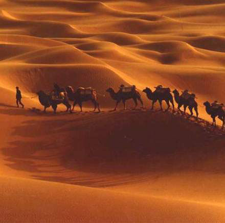 西安建設絲綢之路經濟帶（新起點）戰略規劃國際招標代理